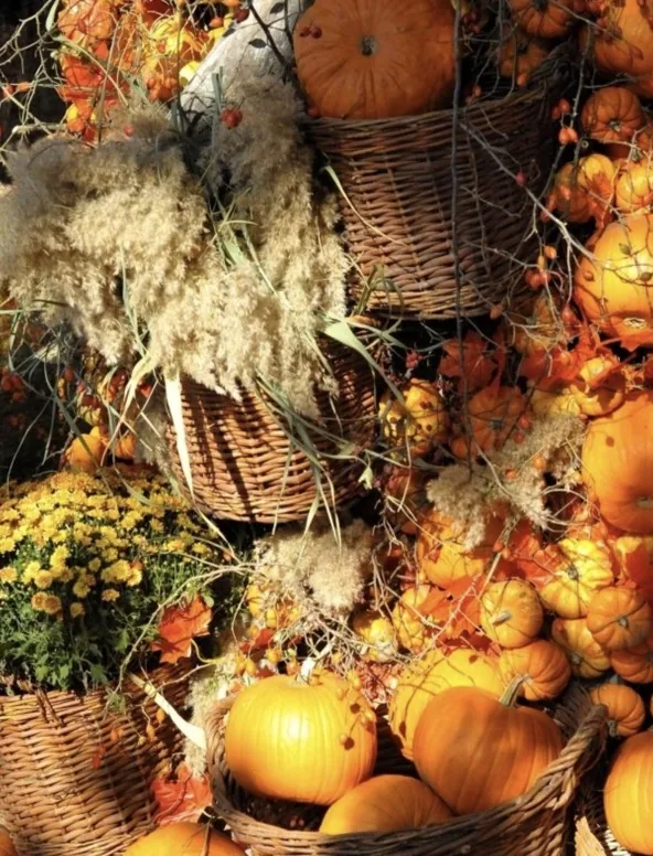 Decor de toamna cu dovleci, cosuri si texturi naturale