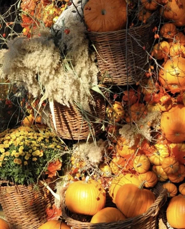 Decor de toamna cu dovleci, cosuri si texturi naturale