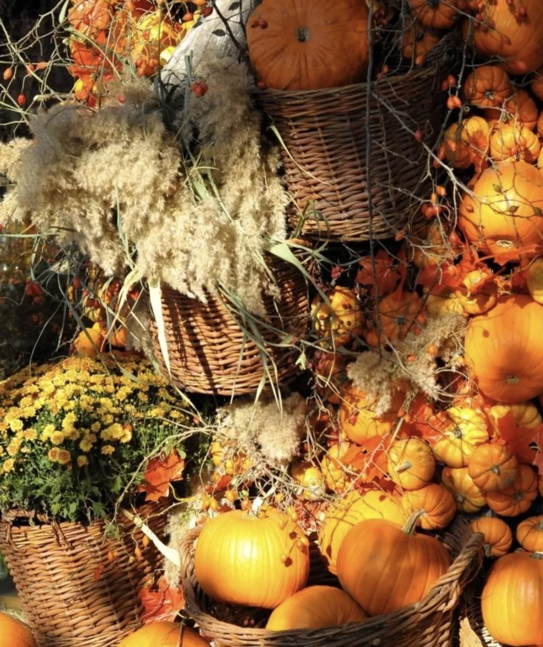 Decor de toamna cu dovleci, cosuri si texturi naturale